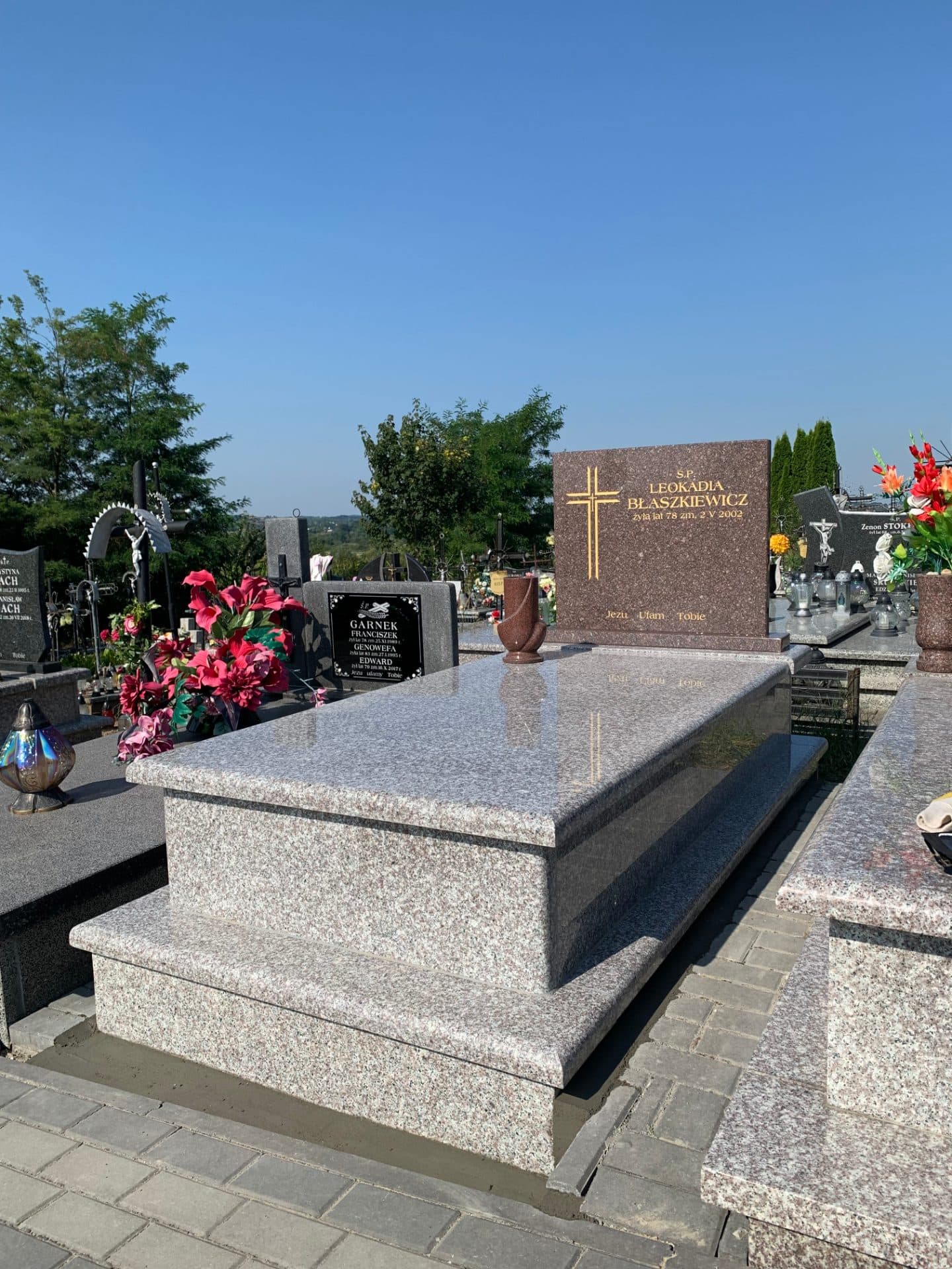 Realizacja nr 899- Brąz Królewski, Tokowski